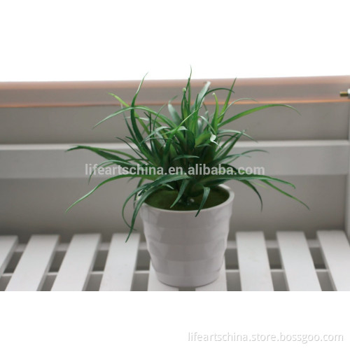 grass artificial, mini plant, ceramic pot #8, plastic grass, grass bonsai